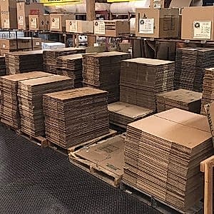 Koli ürünleri bakımından en zengin çeşit PAKkoli'de.