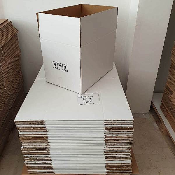 Buyuk-beyaz-koli büyük beyaz koli