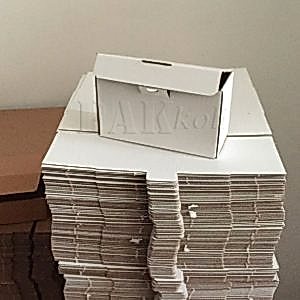 Küçük kargo kolisi